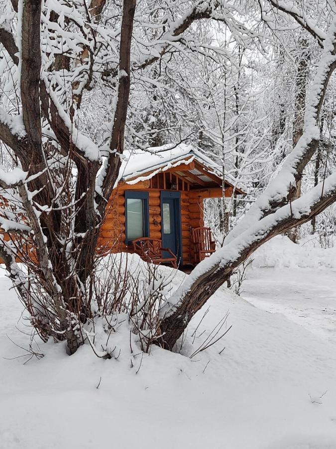 Hatcher Pass Cabins Palmer Dış mekan fotoğraf