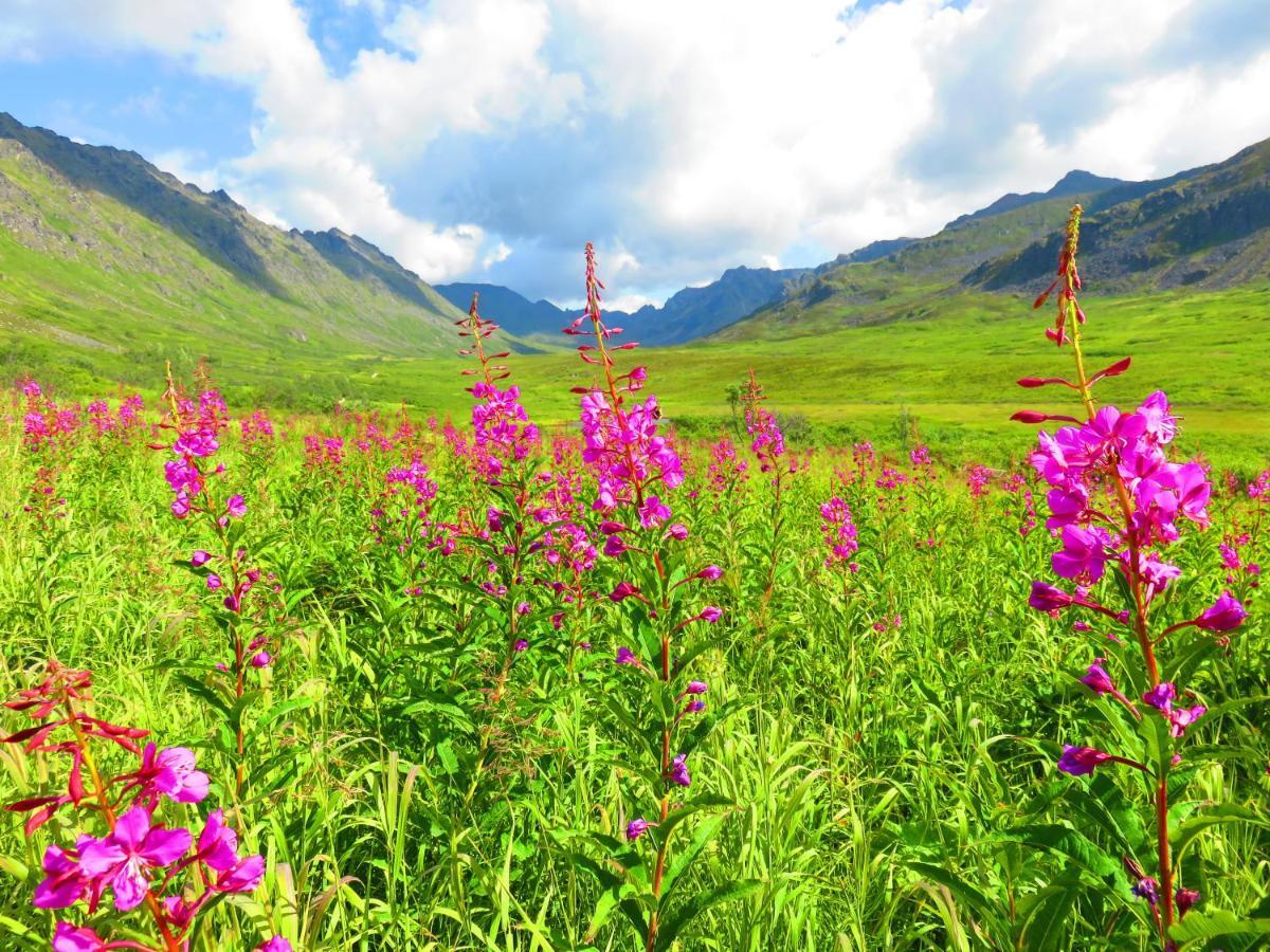 Hatcher Pass Cabins Palmer Dış mekan fotoğraf